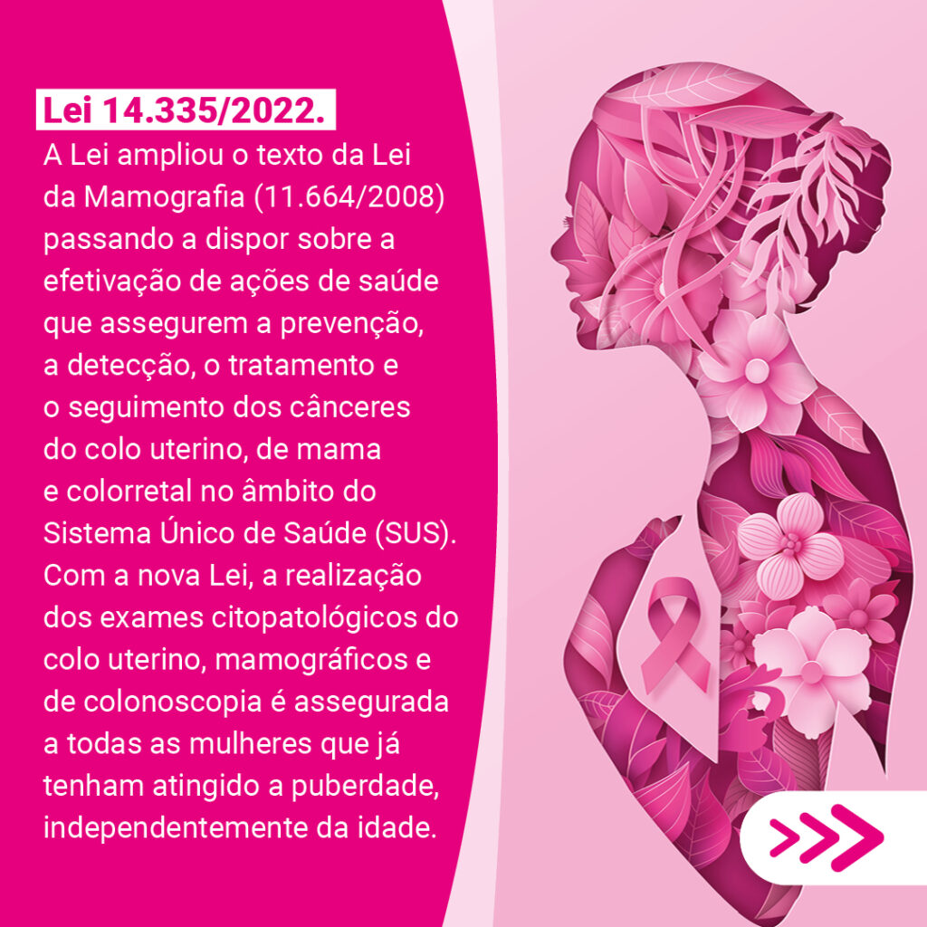 Card-principais-leis-4